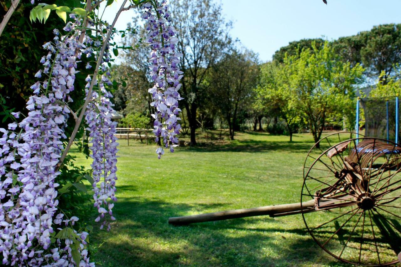 Villa Agriturist Prile à Castiglione della Pescaia Extérieur photo