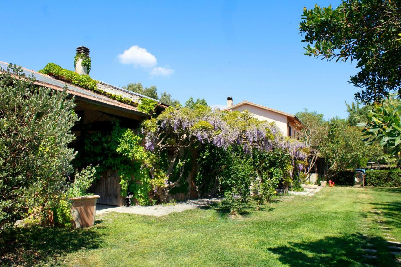 Villa Agriturist Prile à Castiglione della Pescaia Extérieur photo